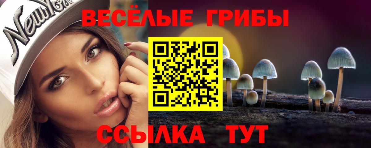 Галлюциногенные грибы Psilocybe  Вход с VPN  сколько стоит  Керчь  Галлюциногенные грибы ЛСД 