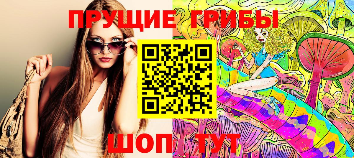 Псилоцибиновые грибы Psilocybine cubensis Керчь